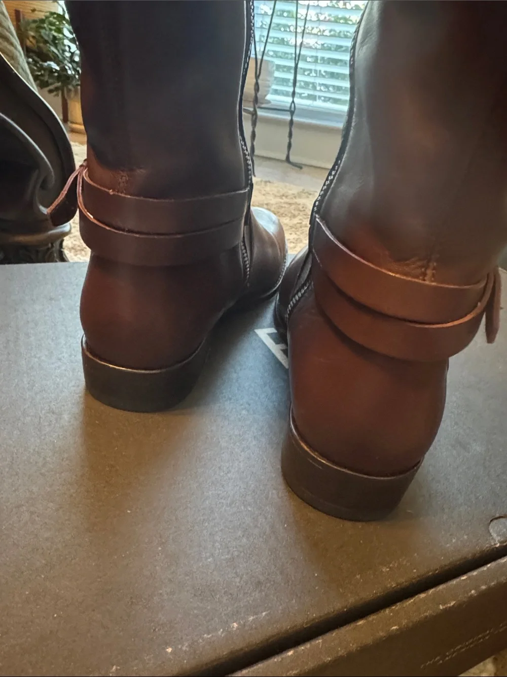 Frye Women's Melissa Belted Tall Riding Boots in Dark Brown Leather